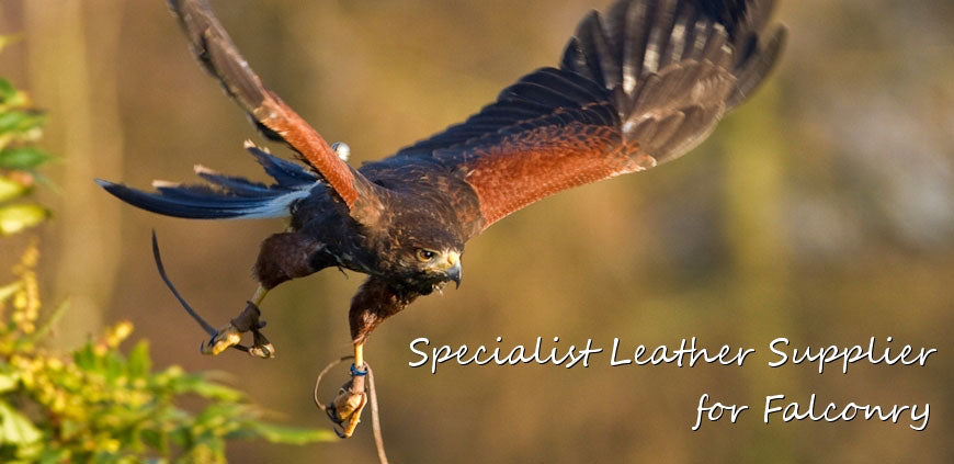 Falconry Leathers