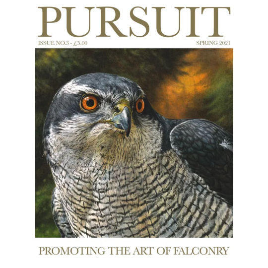 Pursuit Falconry Magazine