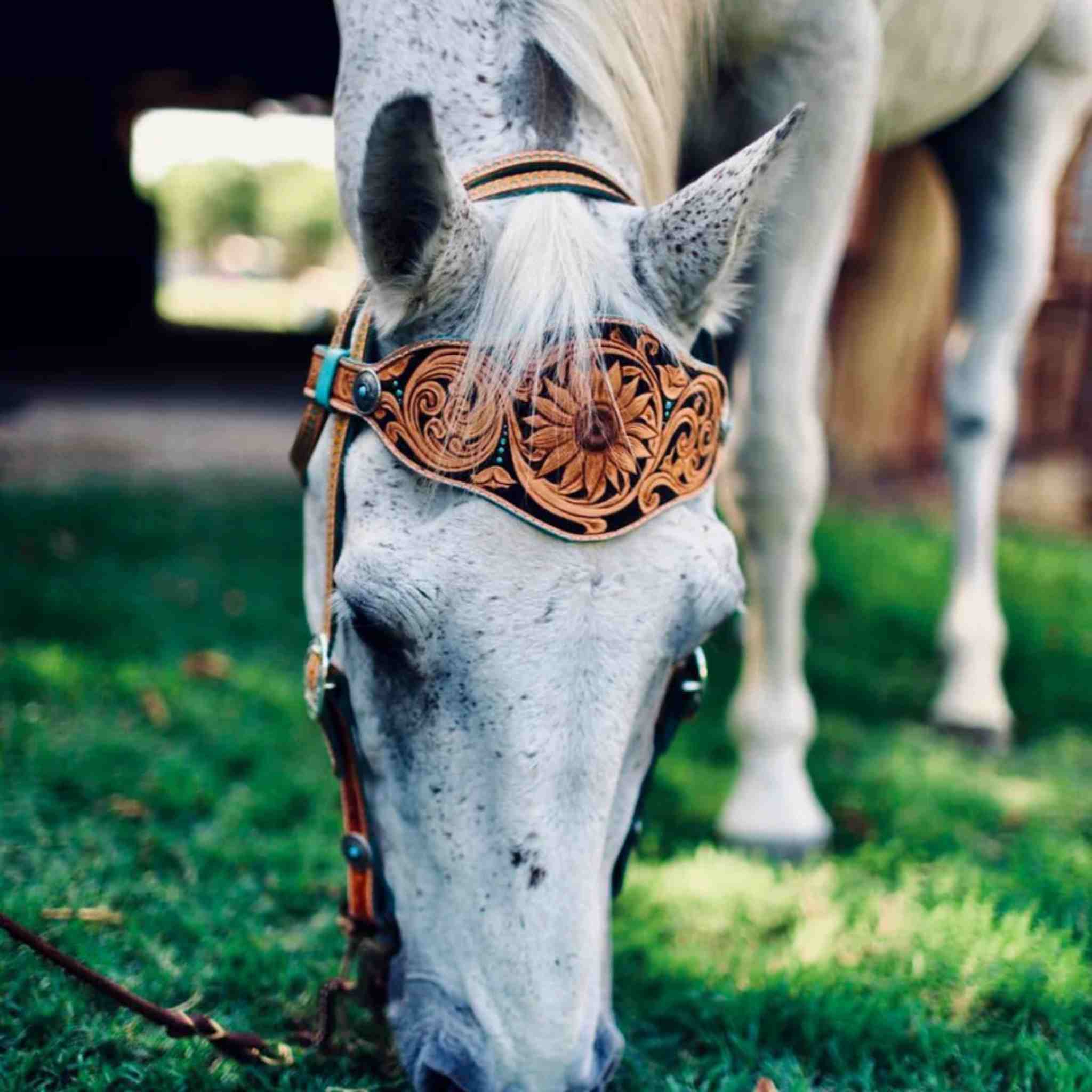 Make your own customised leather horse tack with this paper pattern template with this paper pattern template, ideal for Western riding, equestrian, cos-play, costume, film and TV