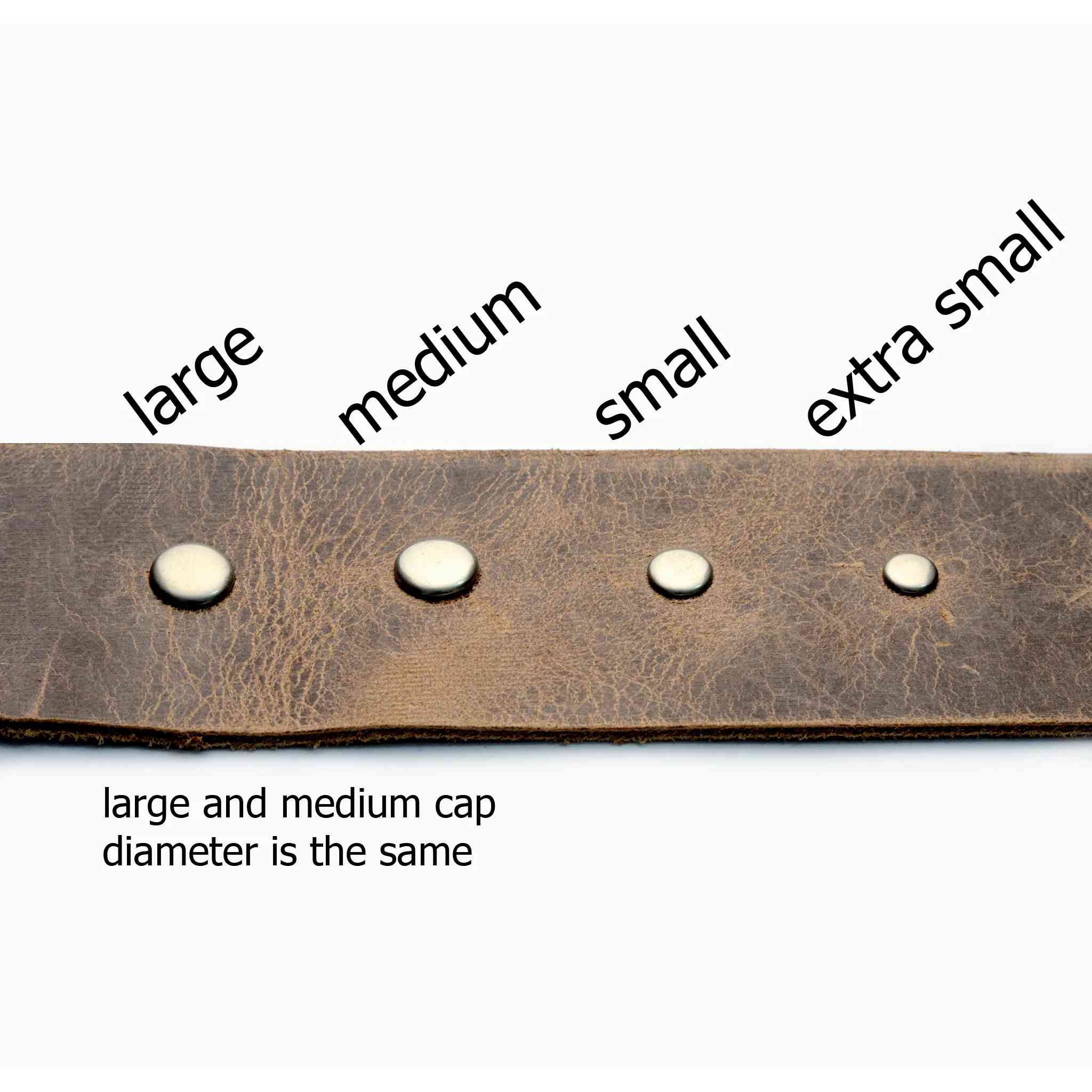 Steel Single Cap Rivets