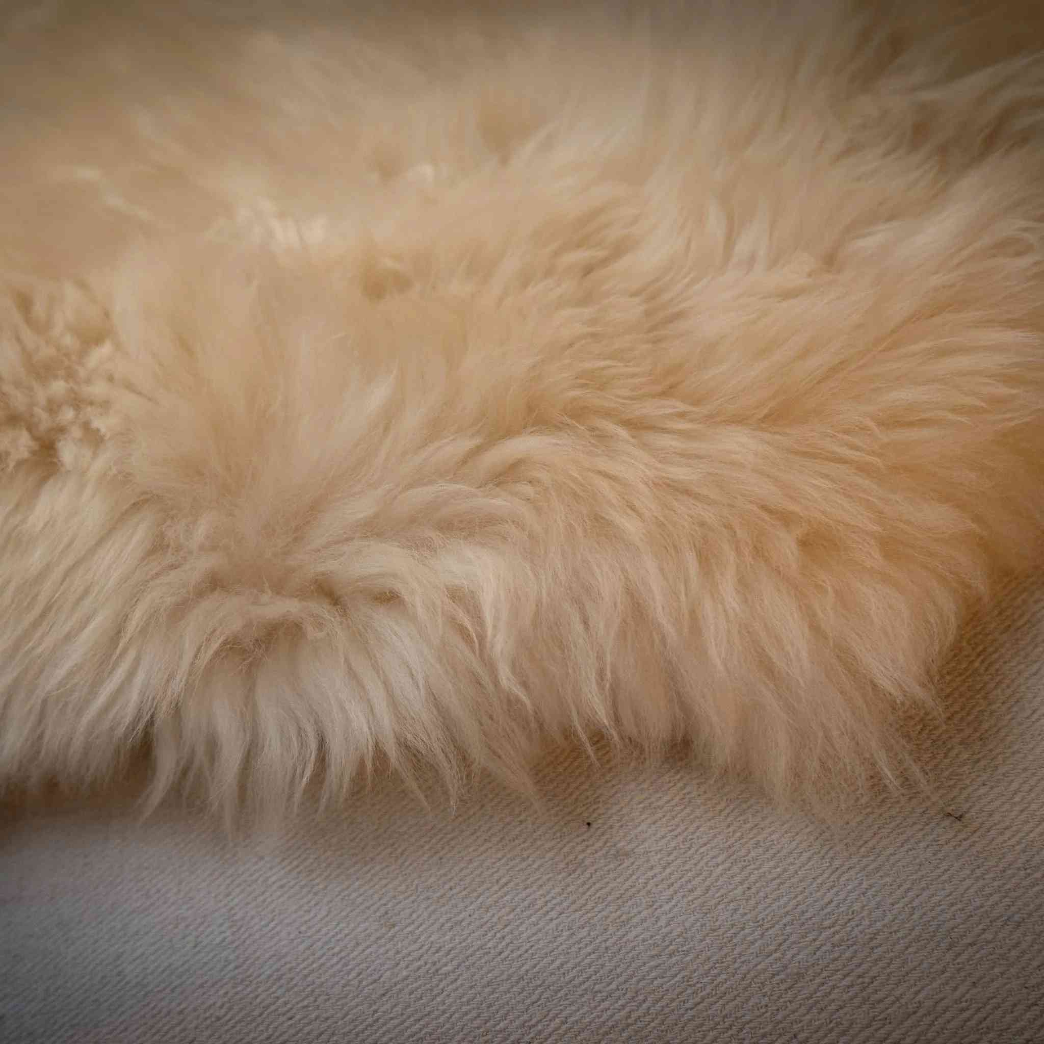 Natural wool sheepskin, large size, premium grade, beautiful and heavy with deep pile and good shape.