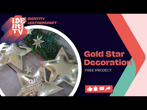 Load and play video in Gallery viewer, Heritage Metallic Gold Goat Leather

