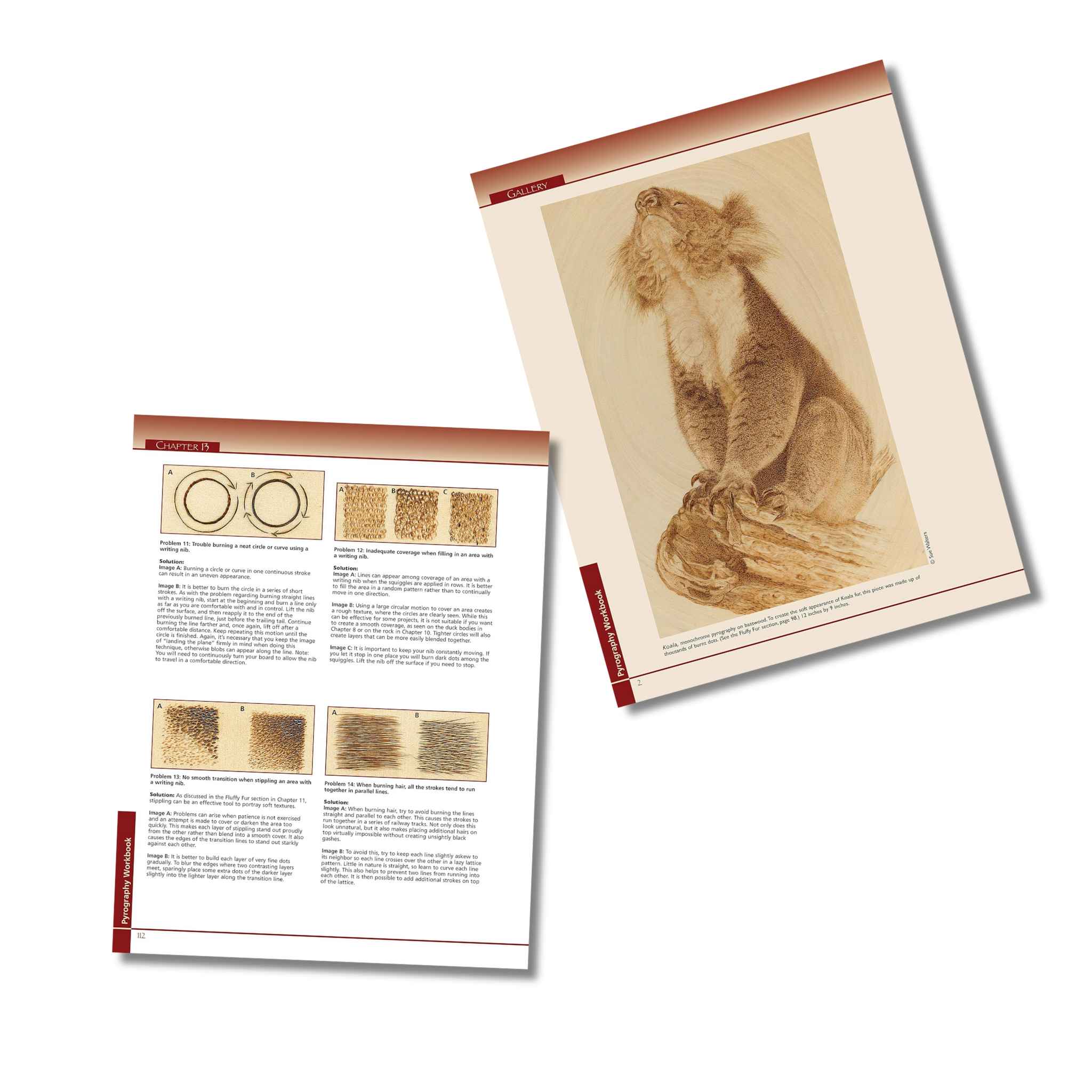 Pages from Pyrography Workbook by Sue Walters