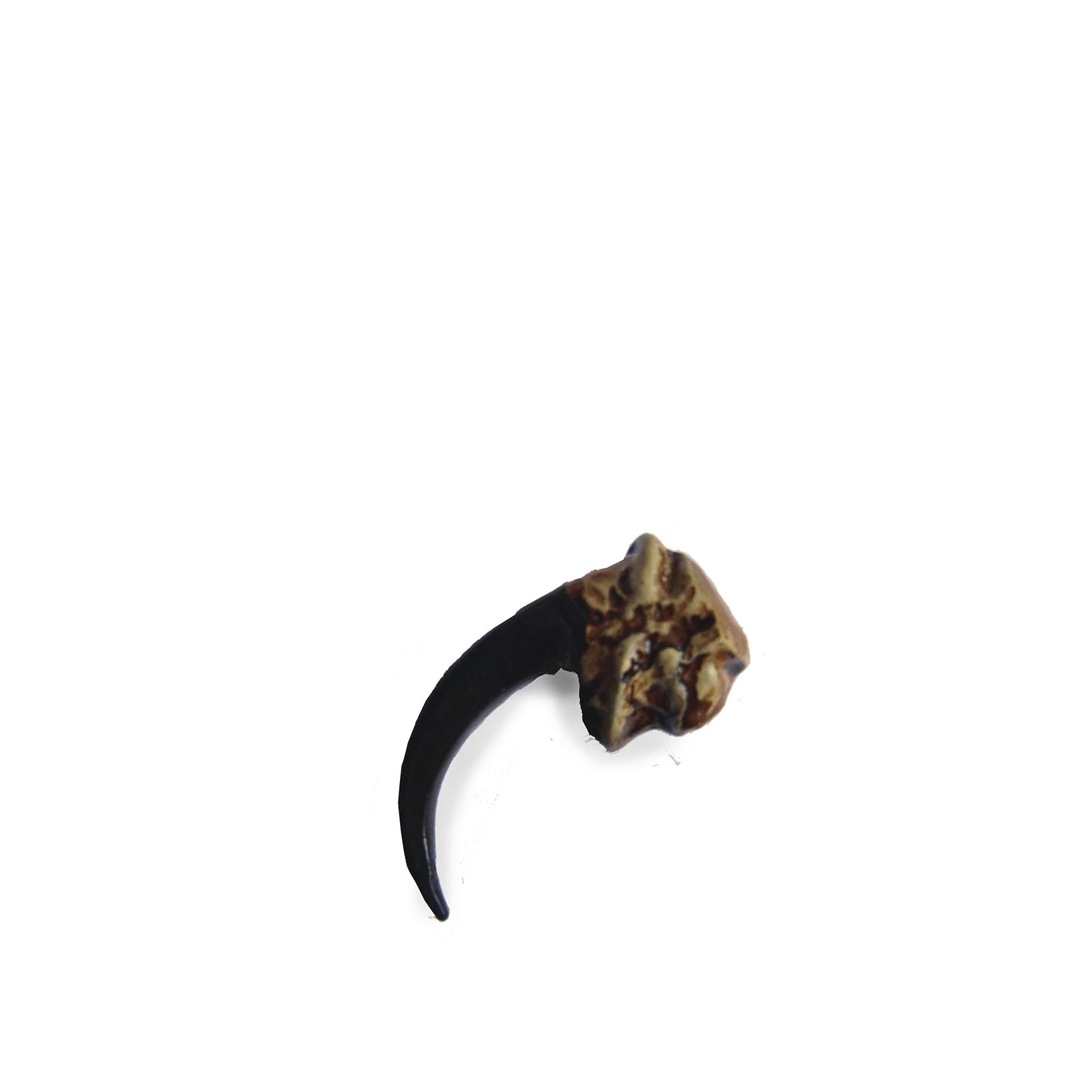 Cast Resin Eagle Claw — Tandy Leather Europe