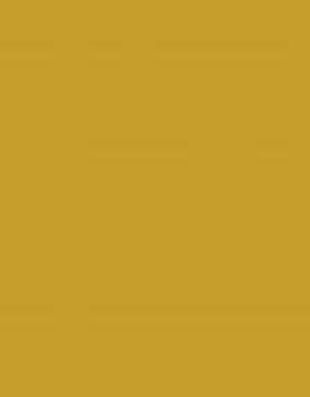 Yellow Lamb Clothing Leather