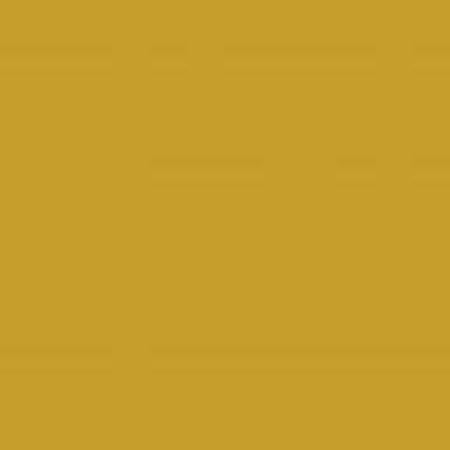 Yellow Lamb Clothing Leather