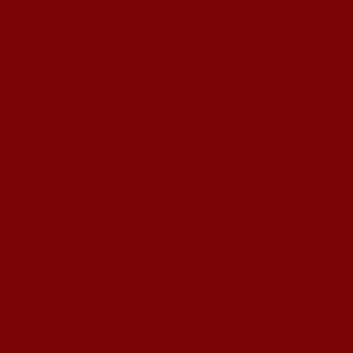 Load image into Gallery viewer, Dark Red Lamb Clothing Leather
