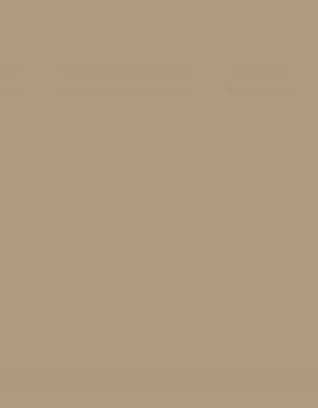 Stone Lamb Clothing Leather